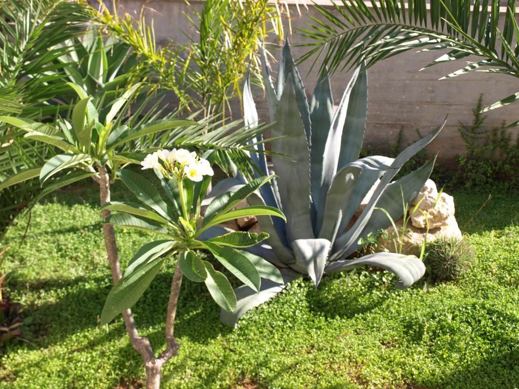 פיצולונגו Guesthouse Anchise 38 מראה חיצוני תמונה