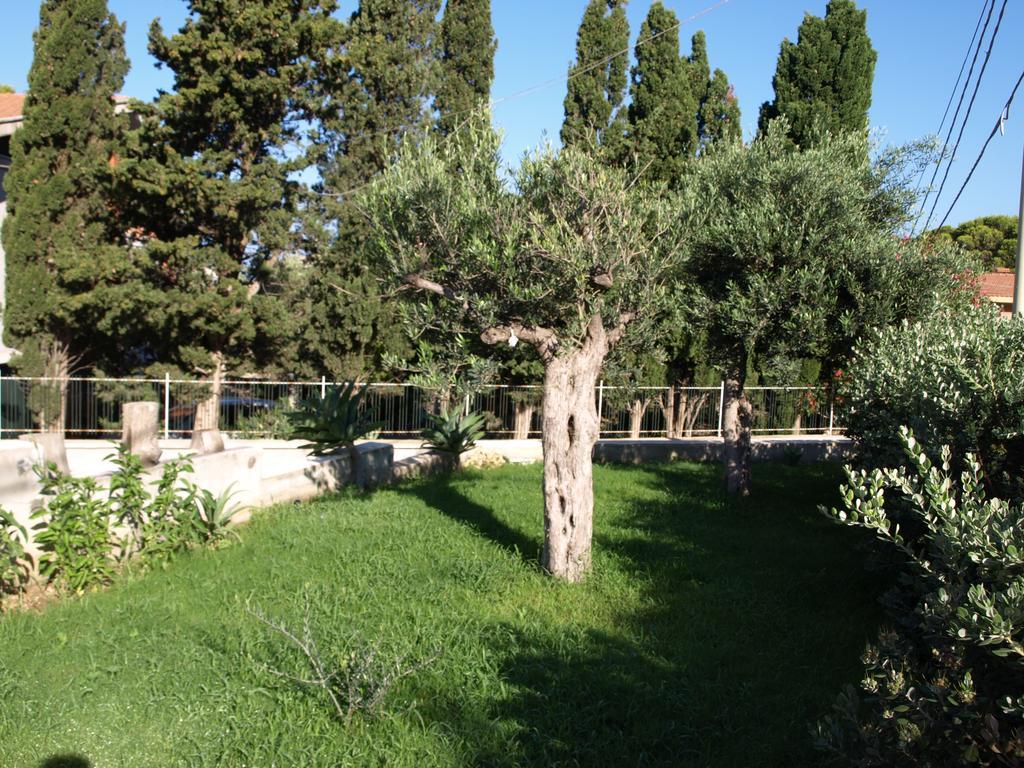 פיצולונגו Guesthouse Anchise 38 מראה חיצוני תמונה